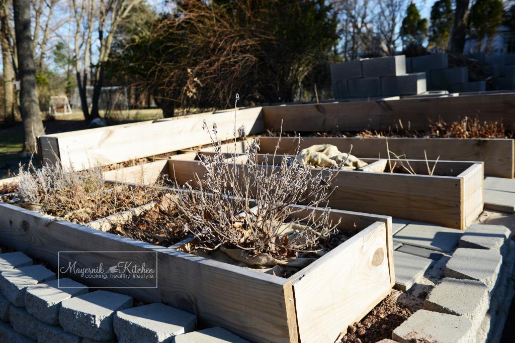 Early Spring Herb Garden - Mayernik Garden 