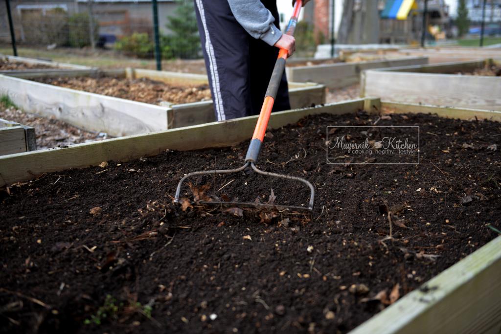 Raking Raised Garden Beds - Mayernik Garden 