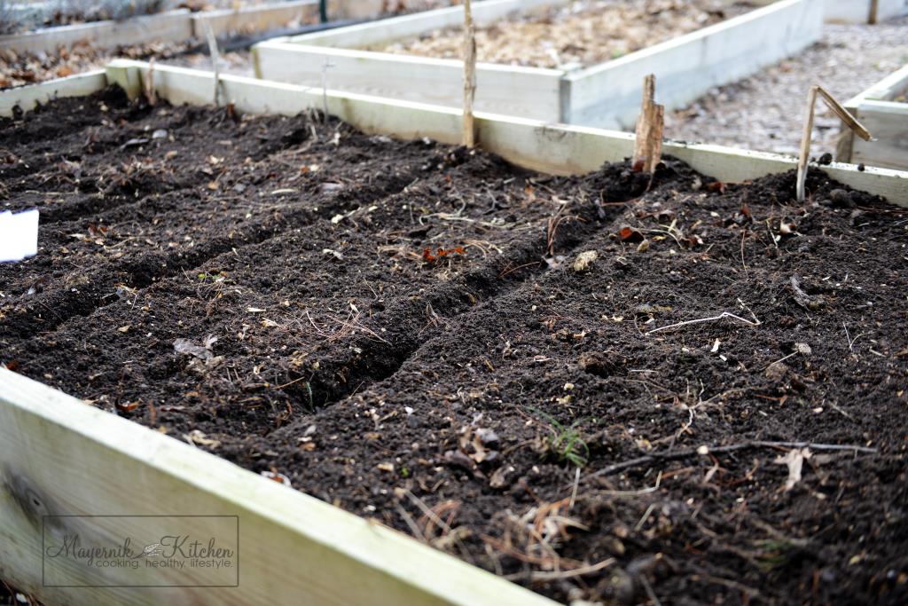 Raised Garden Bed - Mayernik Garden 