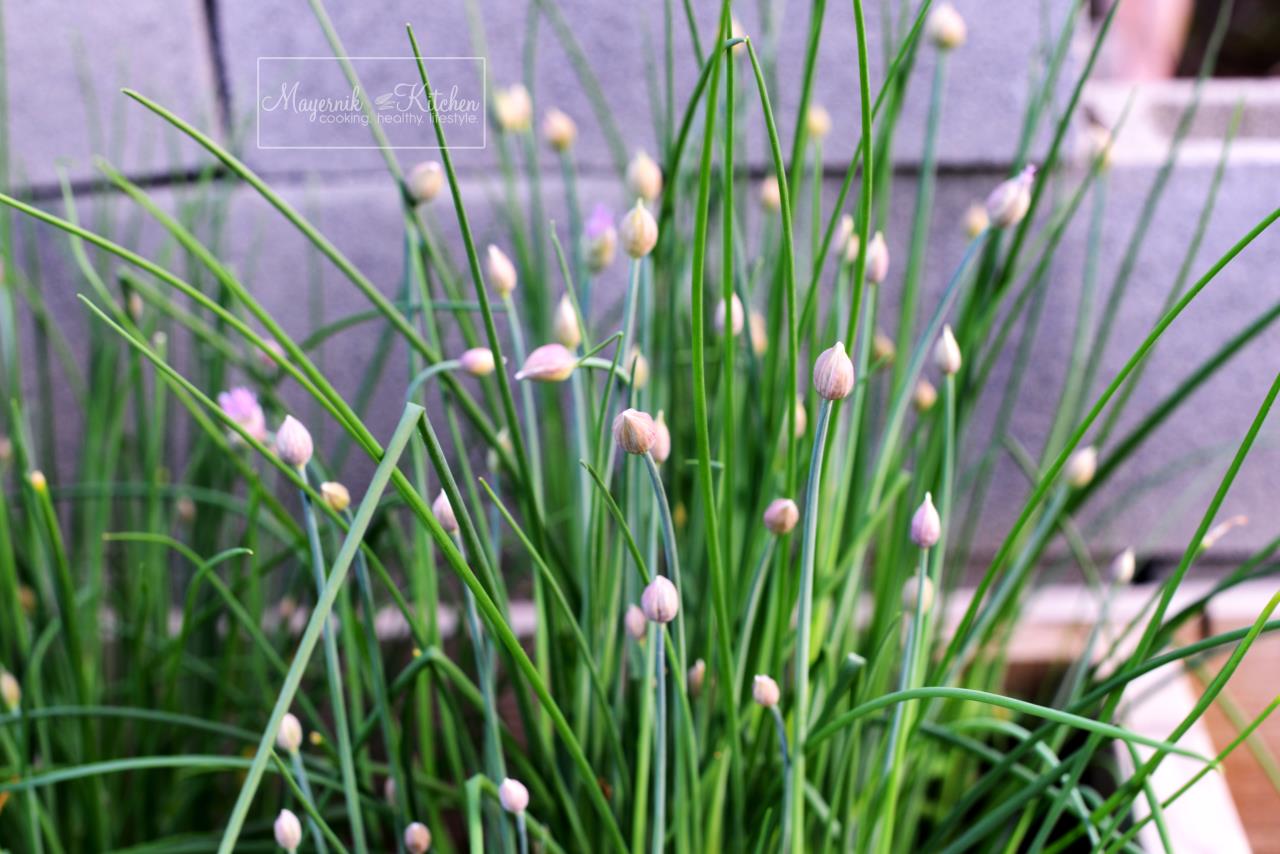 Chives and Chive Flowers - Mayernik Garden - Mayernik Kitchen