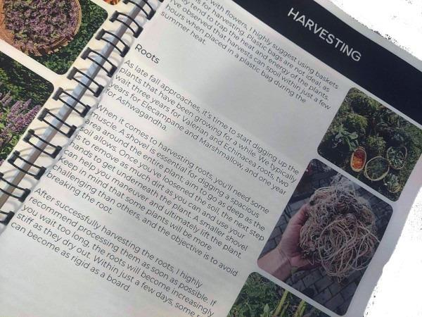 Mayernik Kitchen Farm Apprenticeship Handbook - open book