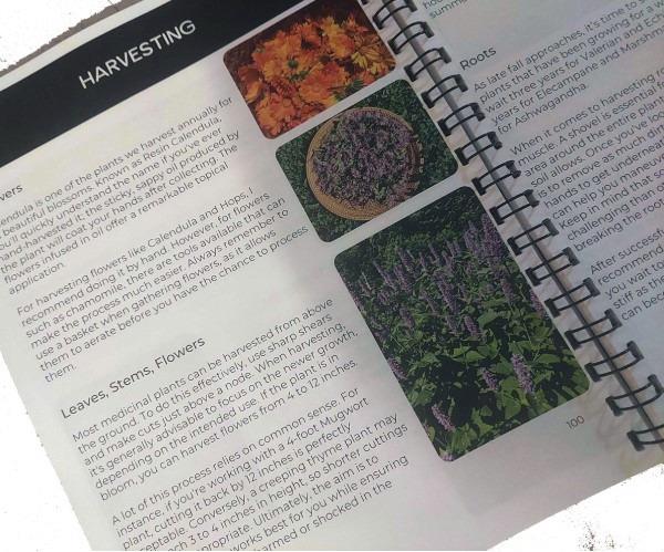 Mayernik Kitchen Farm Apprenticeship Handbook - open page about harvesting