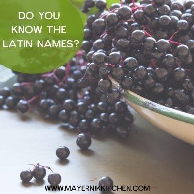 Do you know the Latin names?
